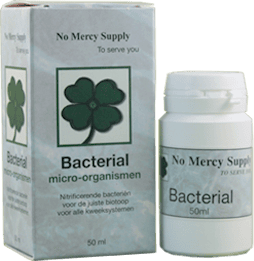 No Mercy Supply Bacterial 50ml-0