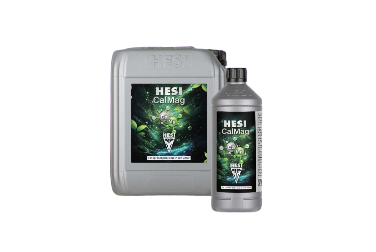 hesi calmag2